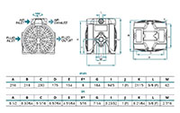 Dimensional Drawing for Air Operated Double Diaphragm Plastic Pump (DF100-P)