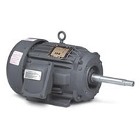 Explosion-Proof TEFC Pump Motors