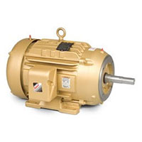 TEFC Close Coupled Pump Motors