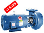 Vertiflo 1300 Close-Coupled End Suction Pumps - 2